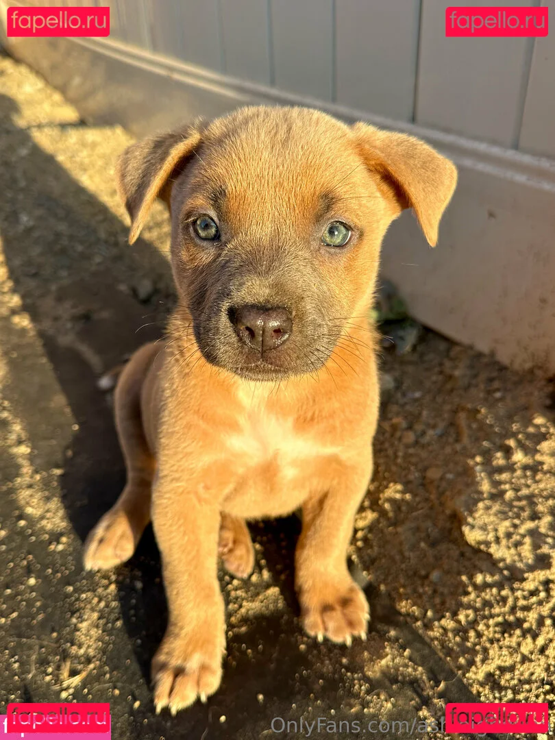 ashleighdunn Onlyfans Photo Gallery 