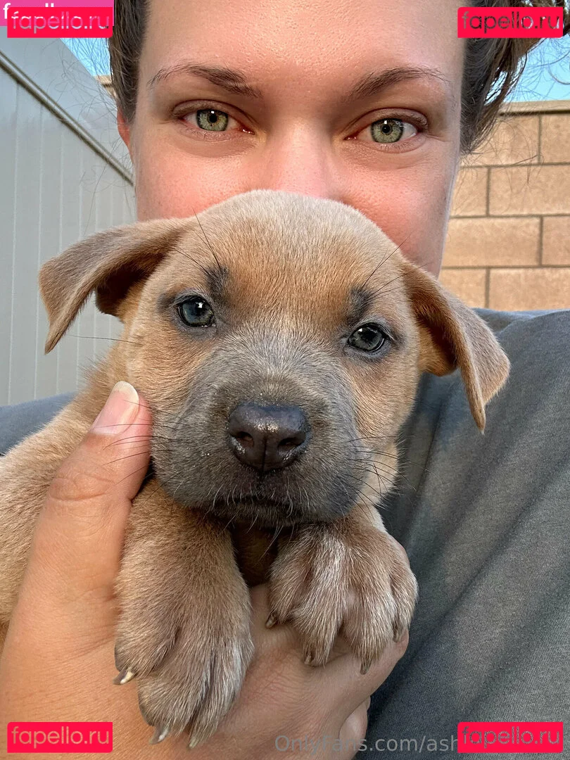 ashleighdunn Onlyfans Photo Gallery 