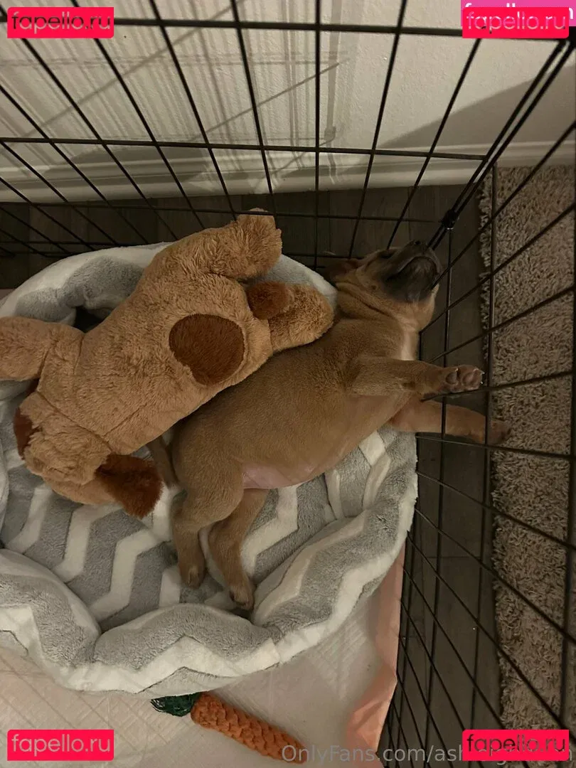 ashleighdunn Onlyfans Photo Gallery 