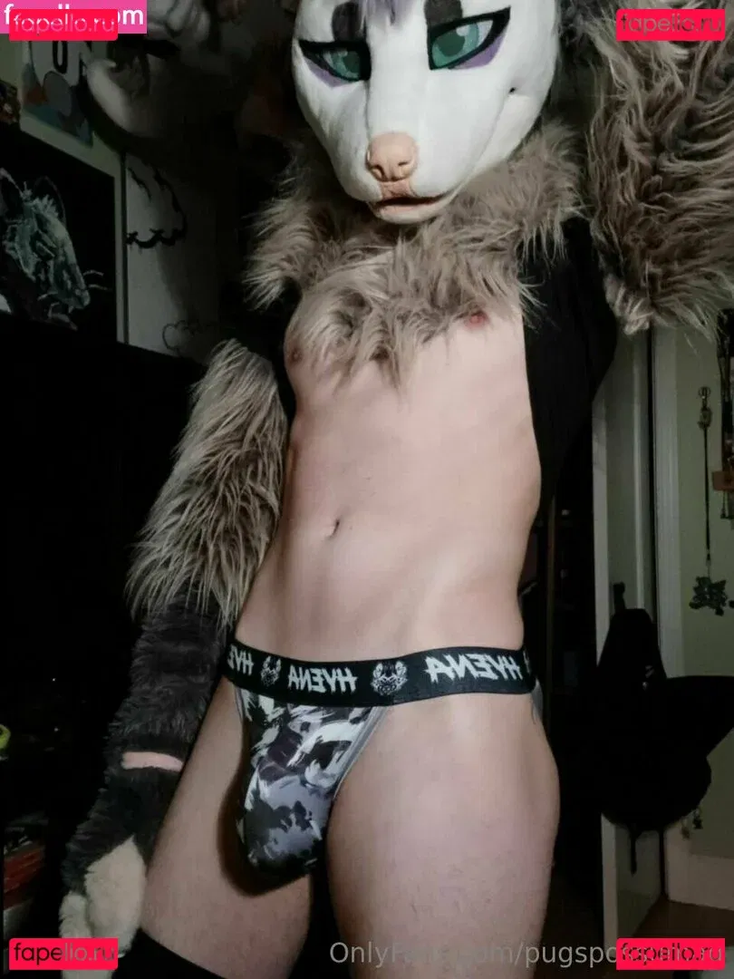 pugspossumad Onlyfans Photo Gallery 