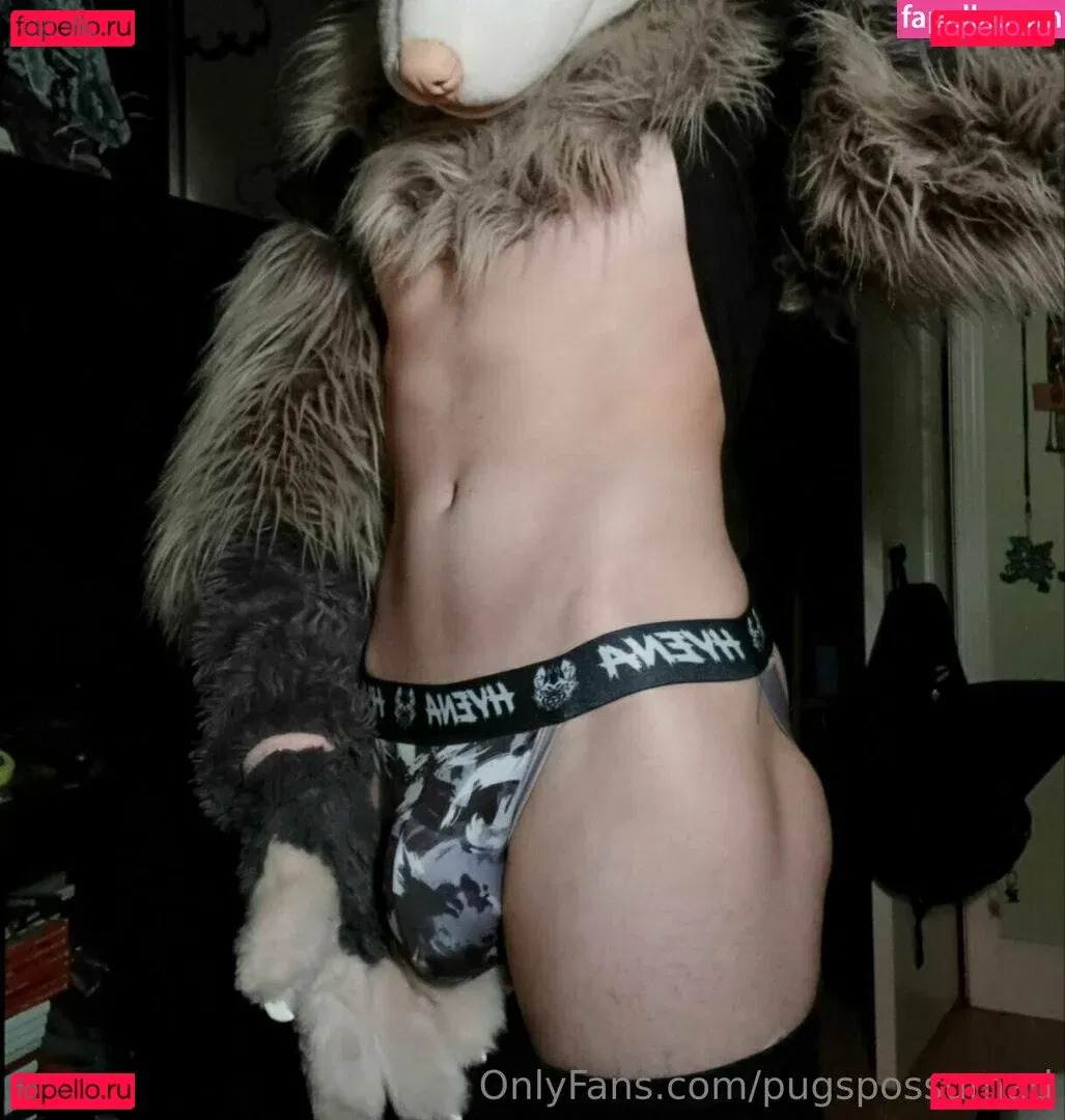 pugspossumad Onlyfans Photo Gallery 