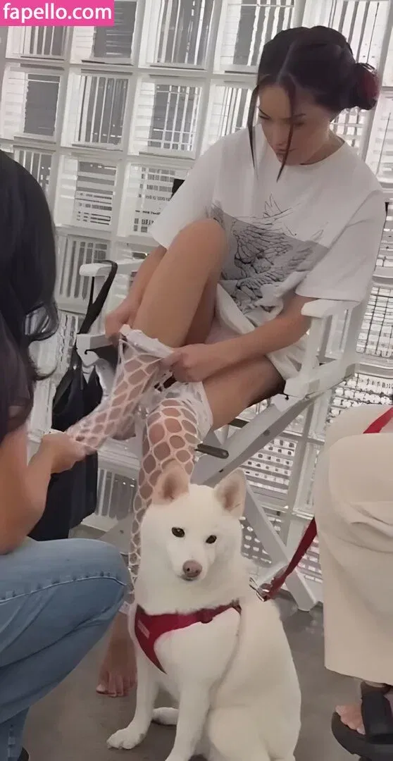 Valkyrae Onlyfans Photo Gallery 