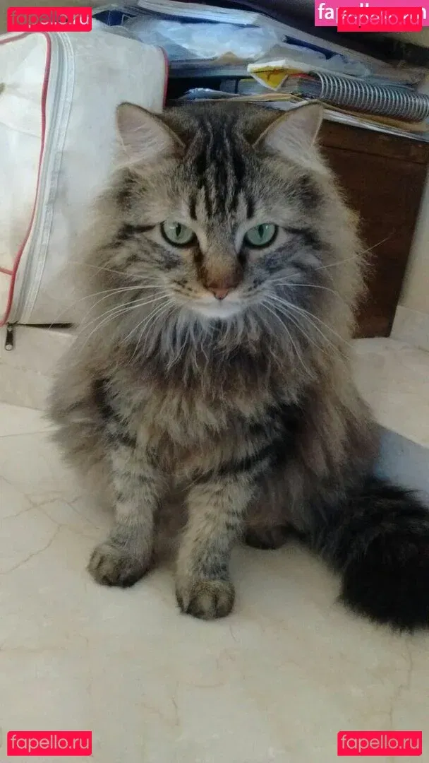 Vera Kaludi Onlyfans Photo Gallery 