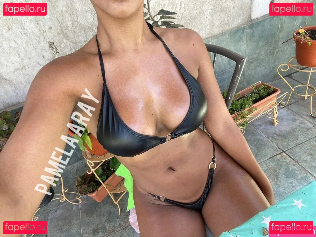 Pamela Aray Onlyfans Photo Gallery 