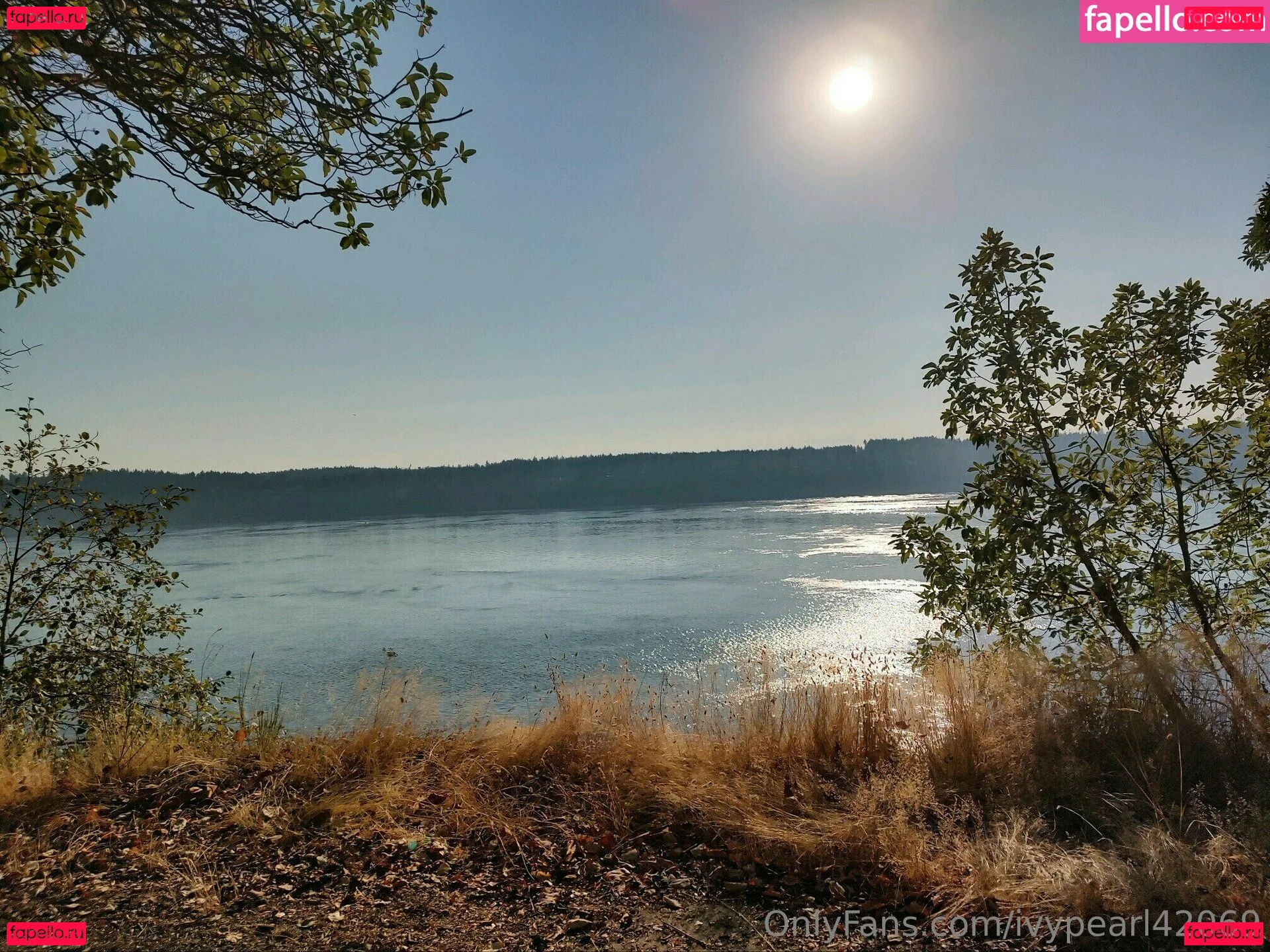 ivypearl42069 Onlyfans Photo Gallery 