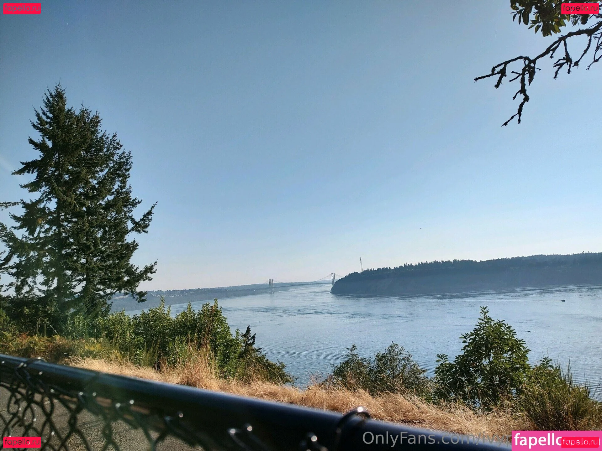 ivypearl42069 Onlyfans Photo Gallery 