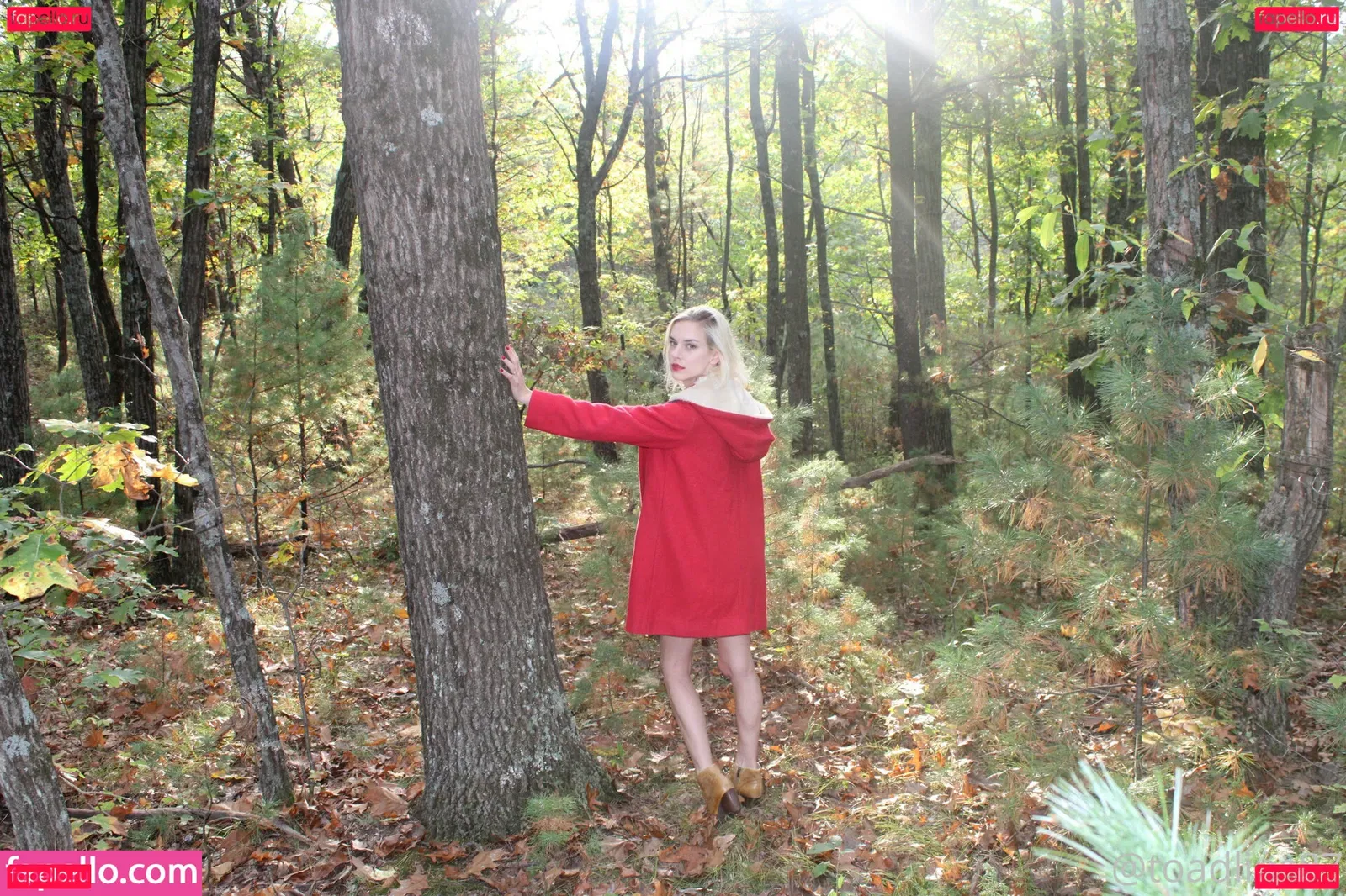 toadlips87free Onlyfans Photo Gallery 