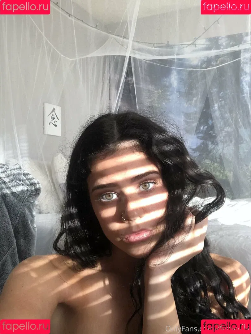 cassidy17 Onlyfans Photo Gallery 