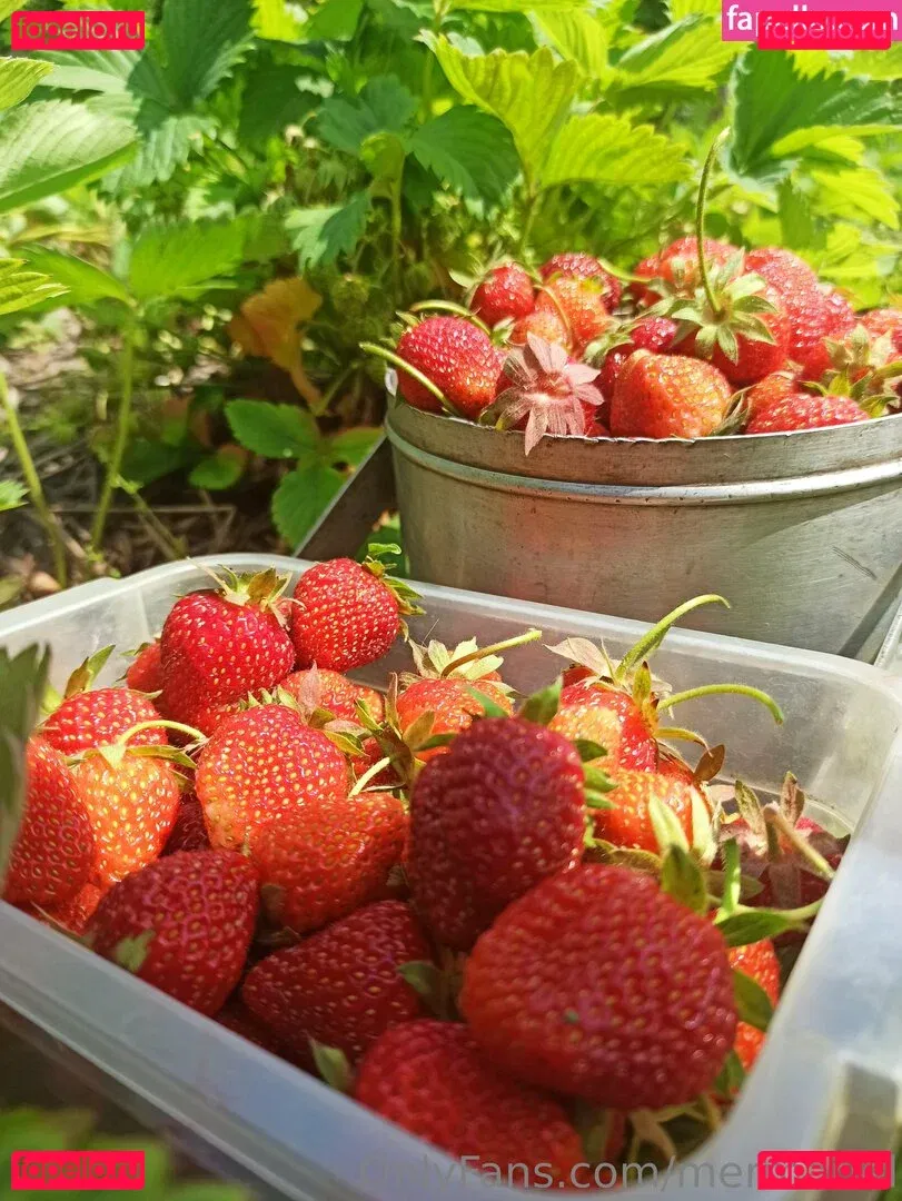 mermariel Onlyfans Photo Gallery 