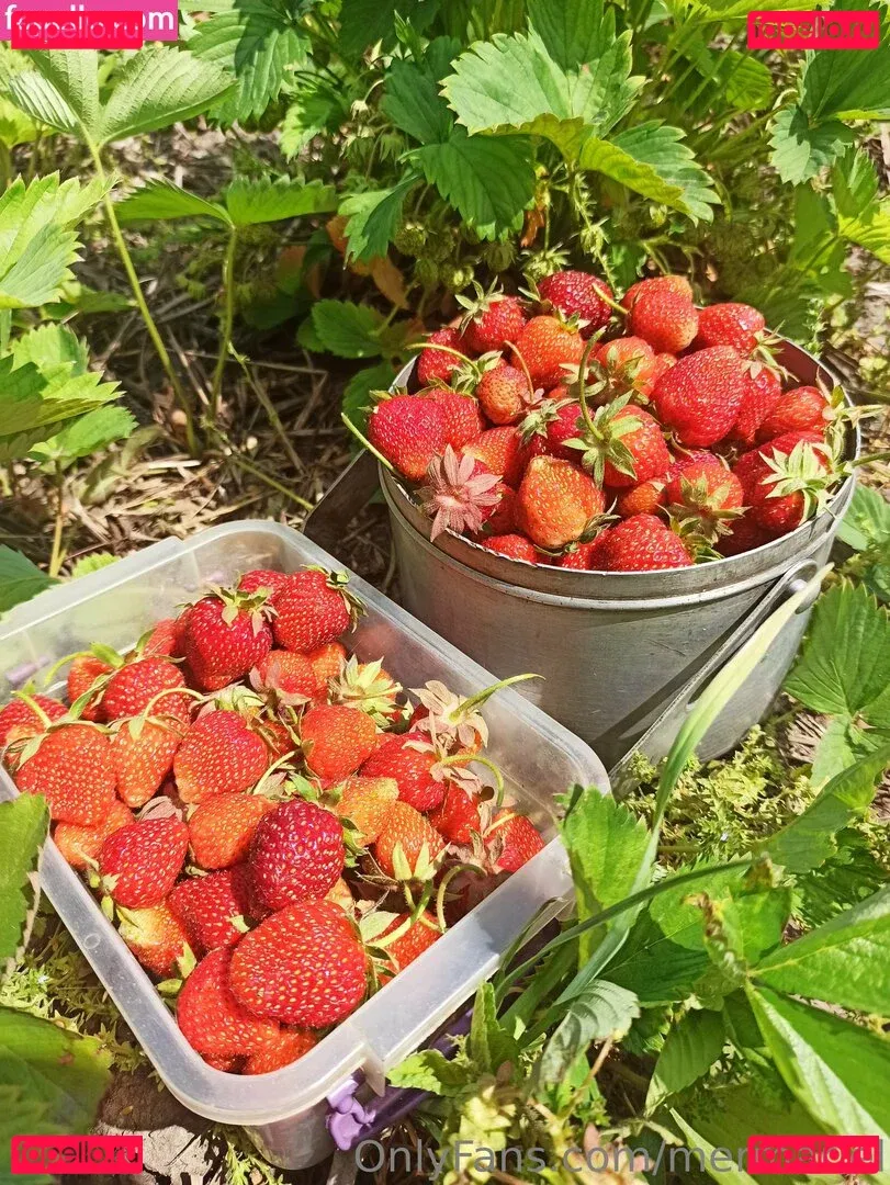 mermariel Onlyfans Photo Gallery 