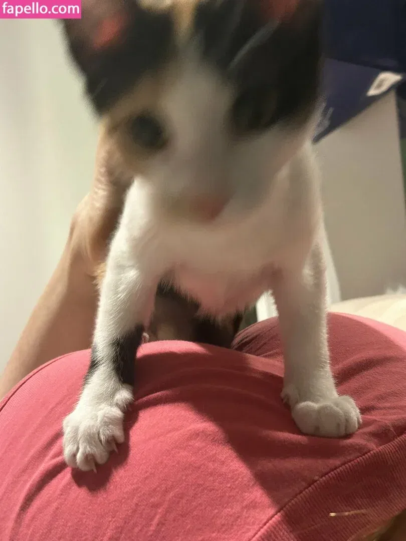 Sofia Espanha Onlyfans Photo Gallery 