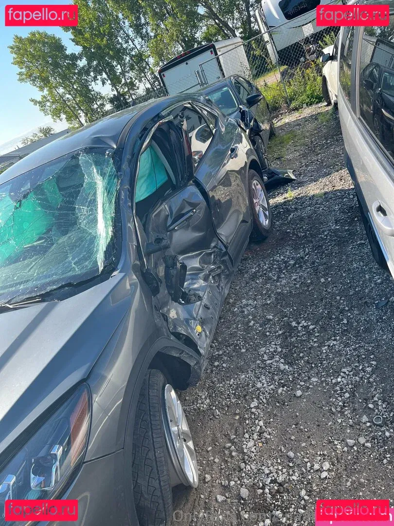 snaakecharmerr Onlyfans Photo Gallery 