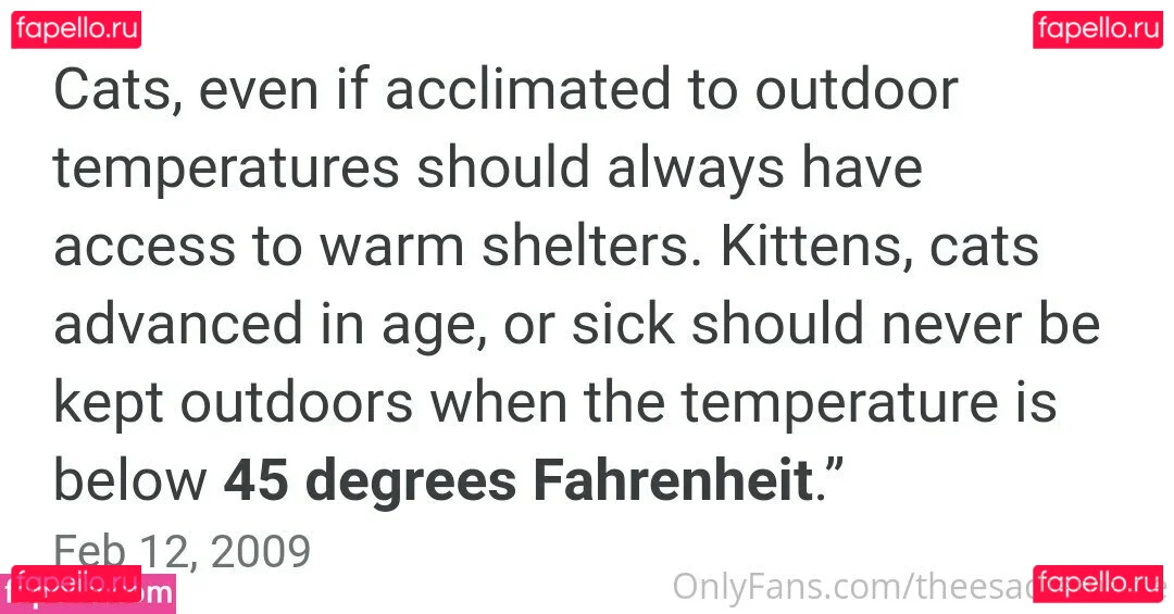 theesadiemarie Onlyfans Photo Gallery 