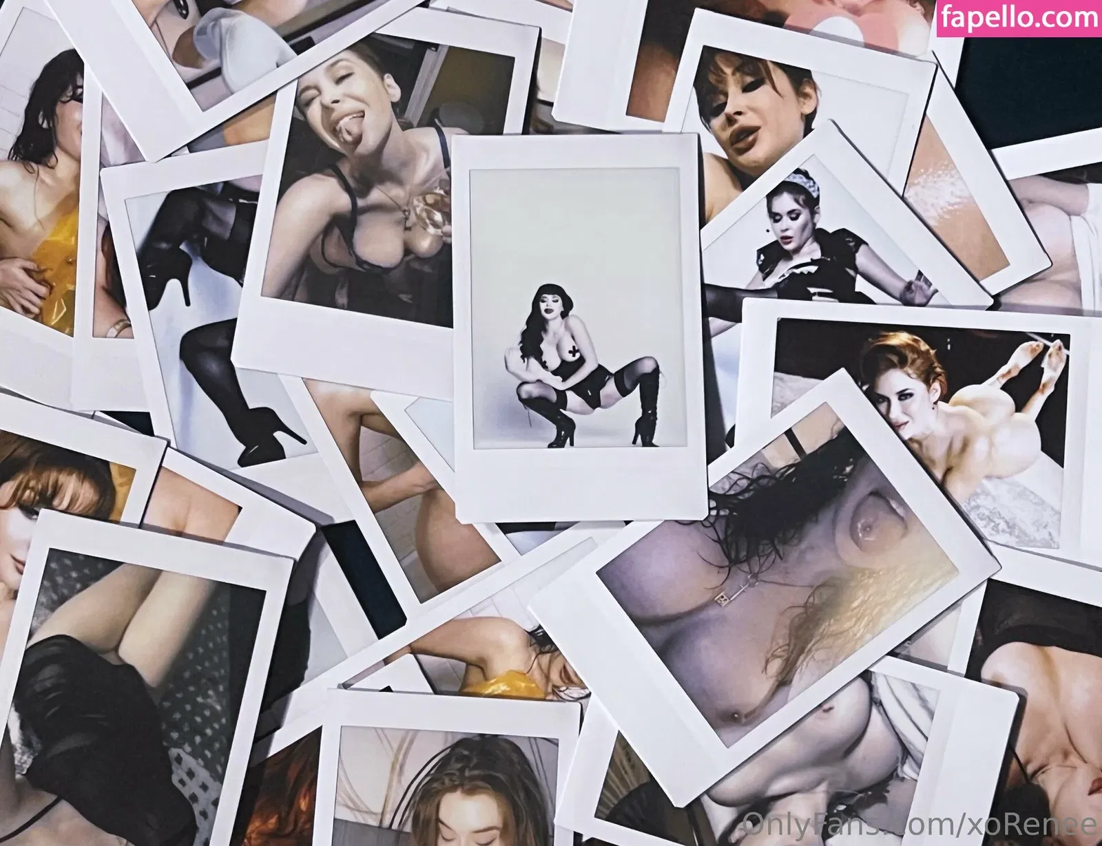 xoRenee Onlyfans Photo Gallery 
