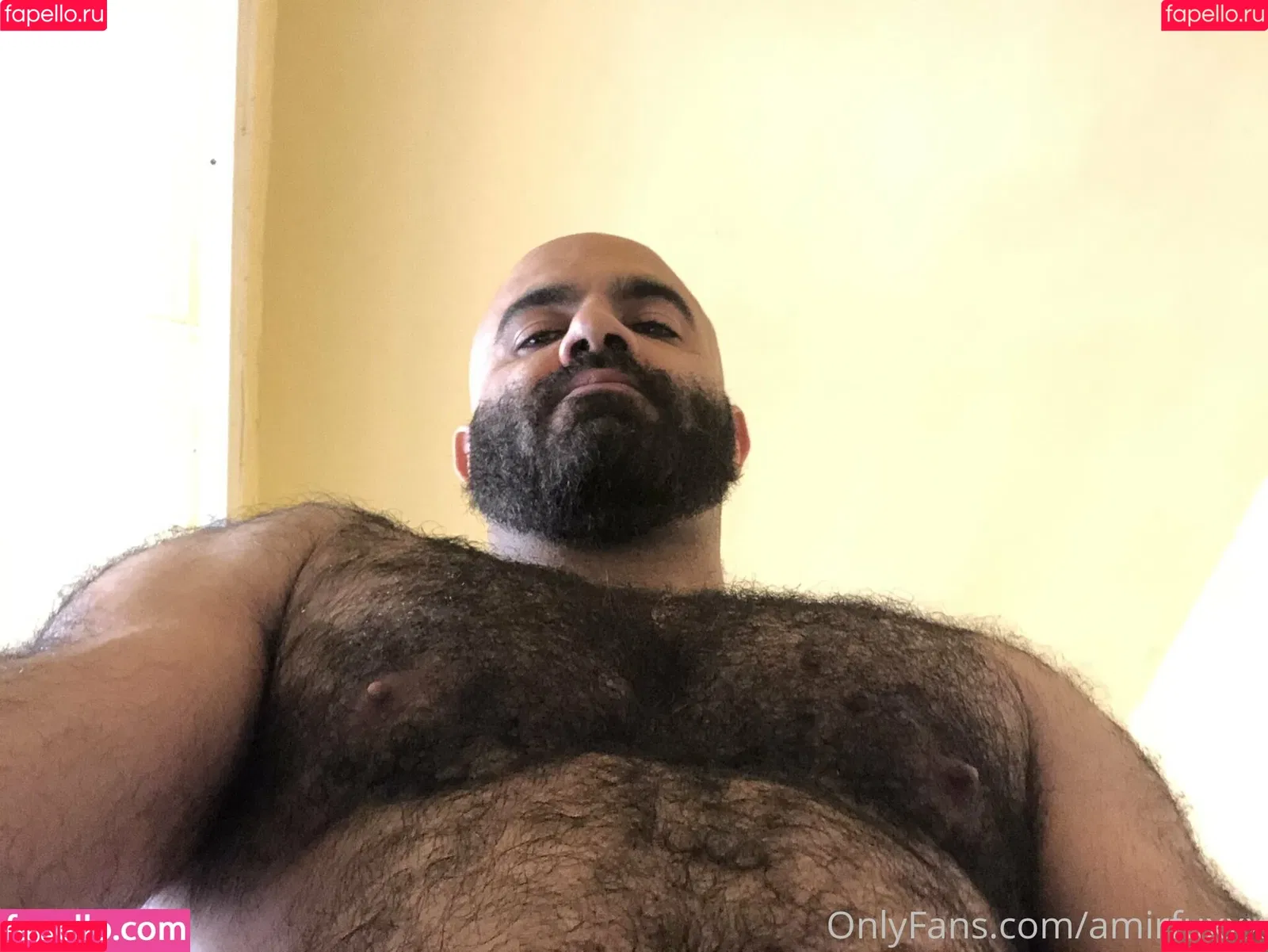 amir_hairyalpha Onlyfans Photo Gallery 