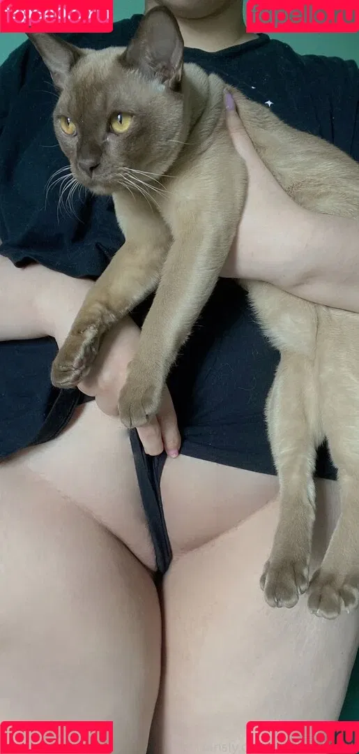mintosylveon Onlyfans Photo Gallery 