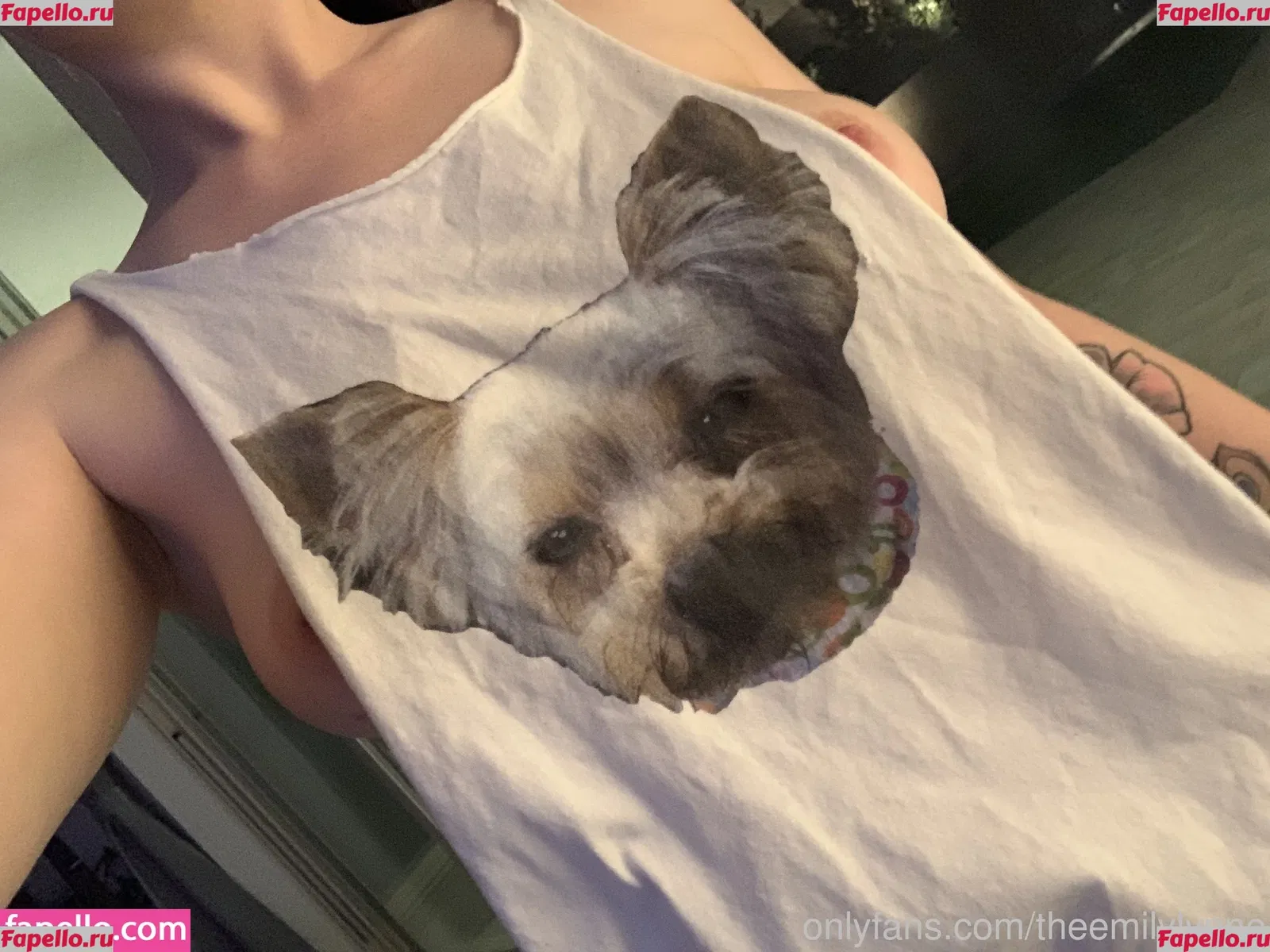 Emily Lynne Onlyfans Photo Gallery 