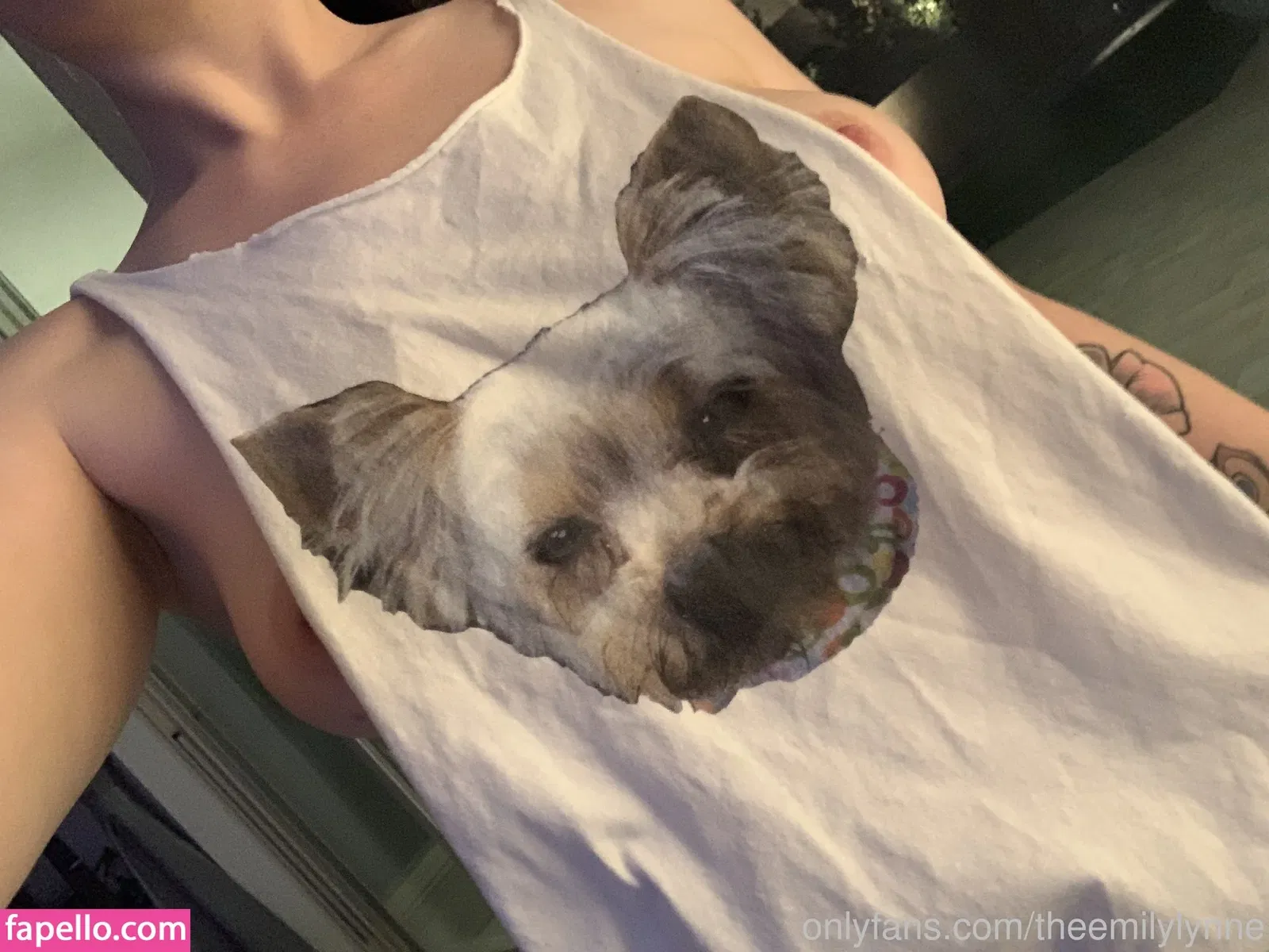 Emily Lynne Onlyfans Photo Gallery 