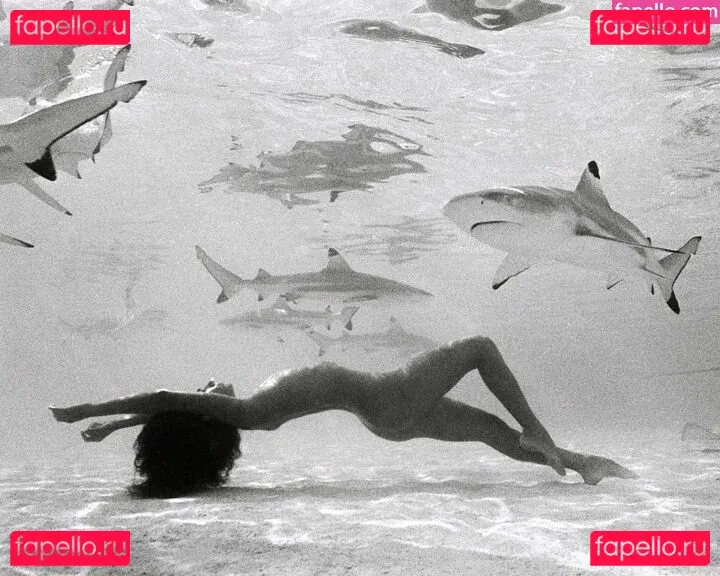 Ariadna Hafez Onlyfans Photo Gallery 