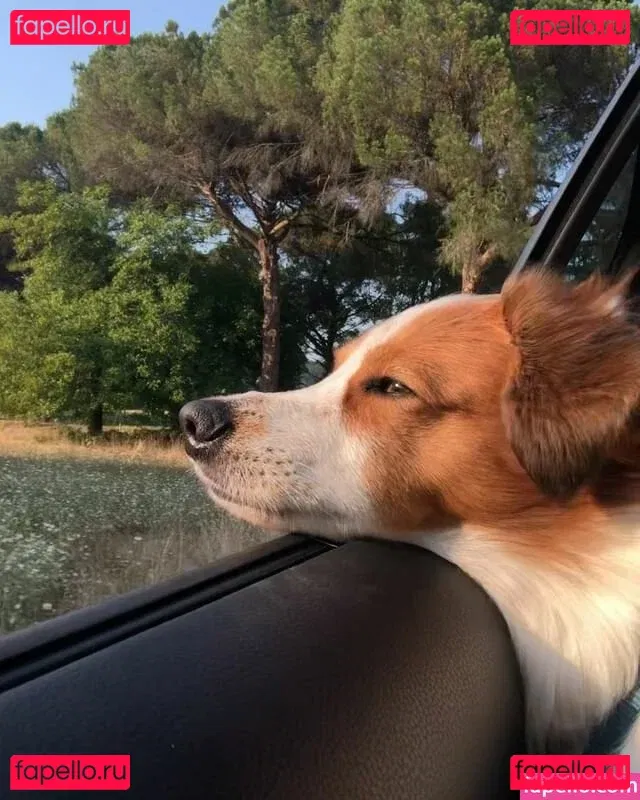 Elly Anne Onlyfans Photo Gallery 