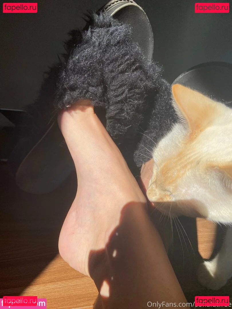 sofialutfree Onlyfans Photo Gallery 