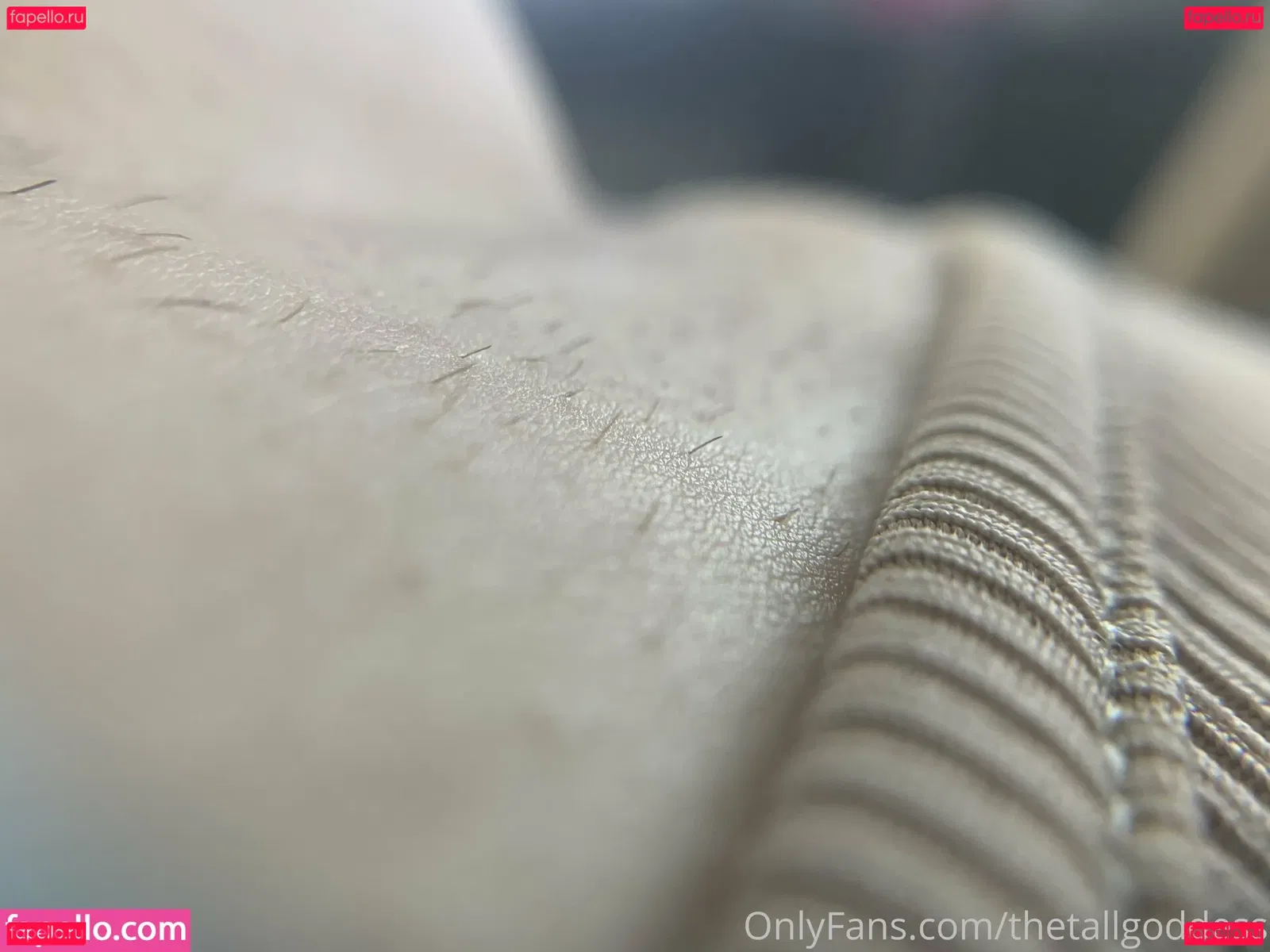 bigbadbee Onlyfans Photo Gallery 