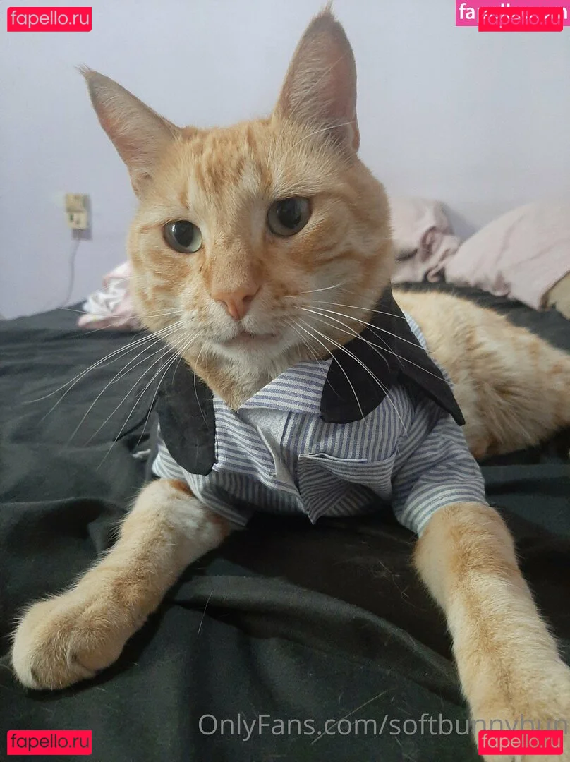 softbunnybun Onlyfans Photo Gallery 