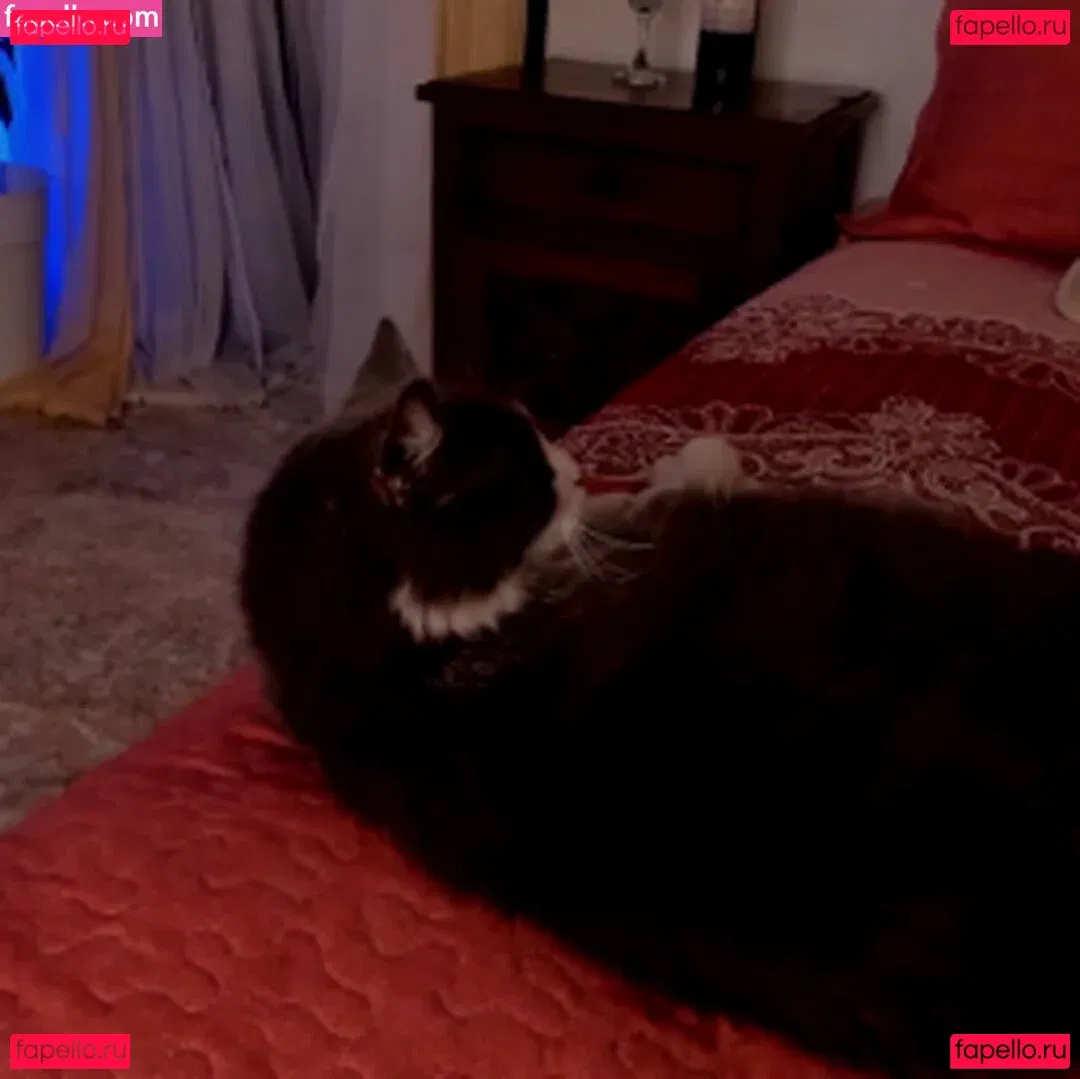 Recurbate S Onlyfans Photo Gallery 