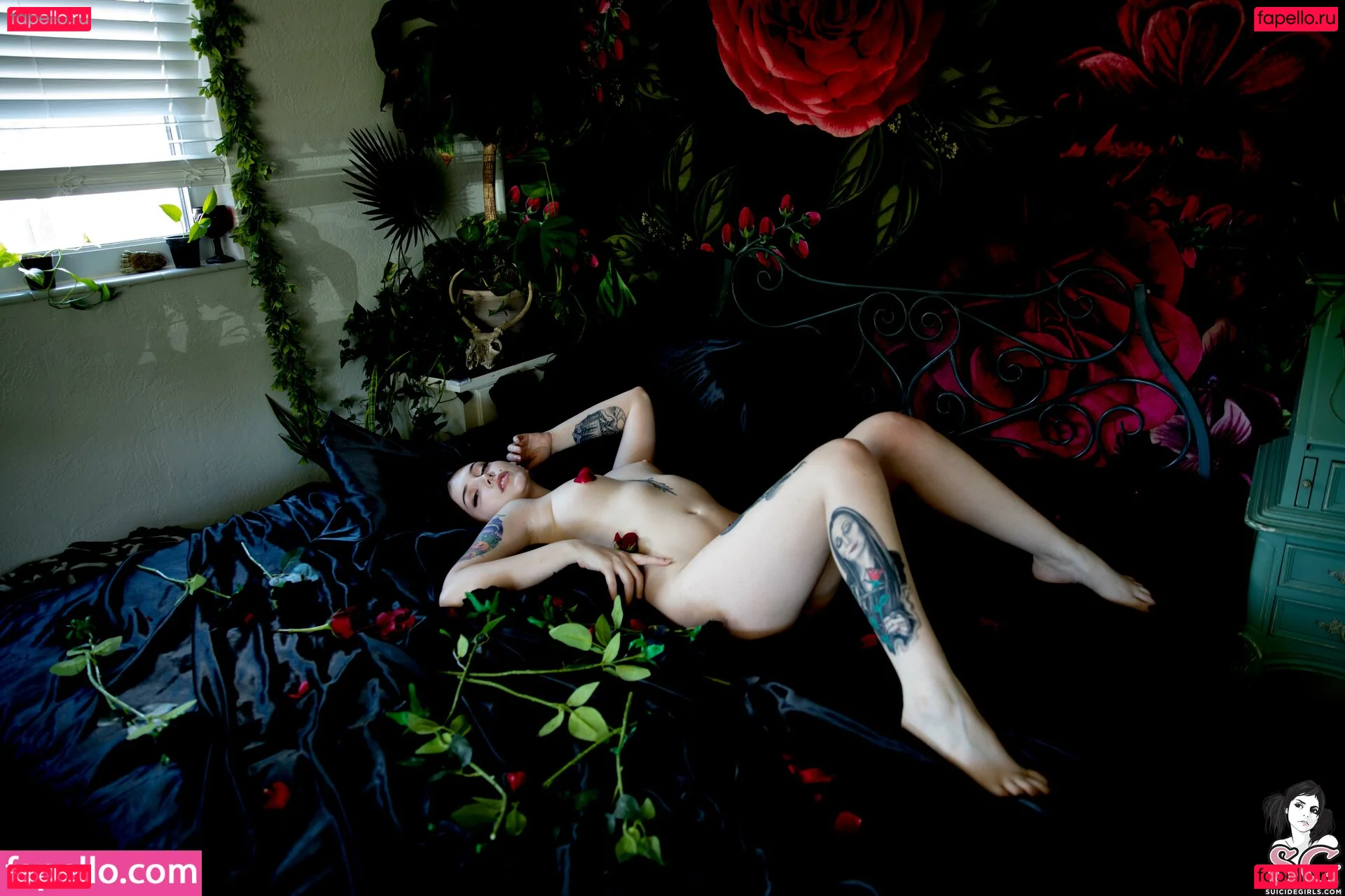 Pixxie.rotten Onlyfans Photo Gallery 