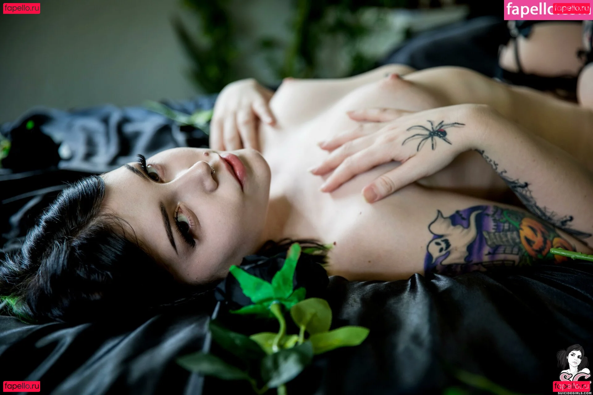 Pixxie.rotten Onlyfans Photo Gallery 