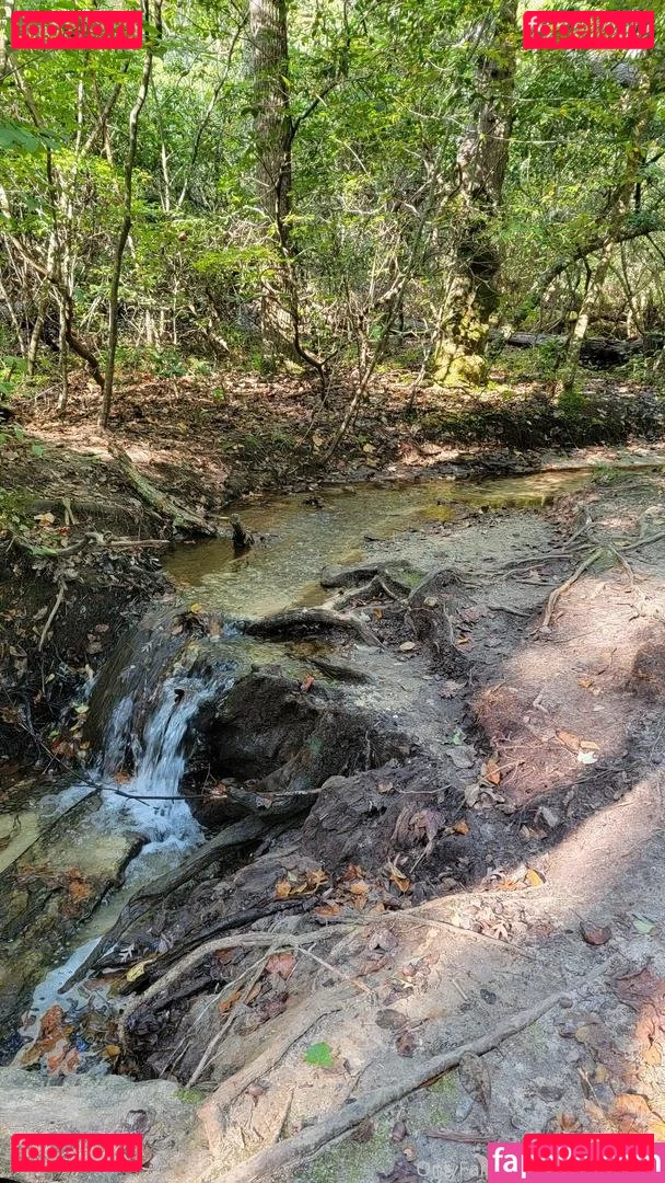 christymack Onlyfans Photo Gallery 