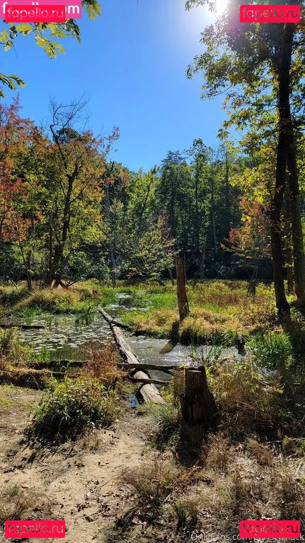 christymack Onlyfans Photo Gallery 