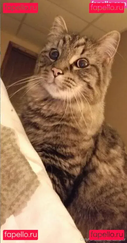 daraamber Onlyfans Photo Gallery 