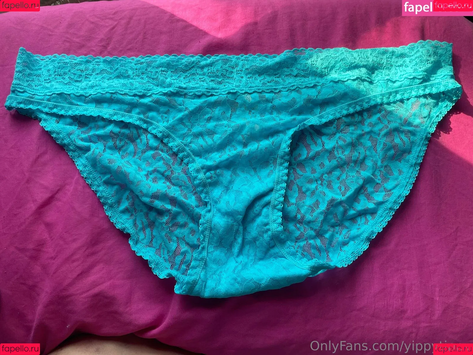 YippyTippy Onlyfans Photo Gallery 
