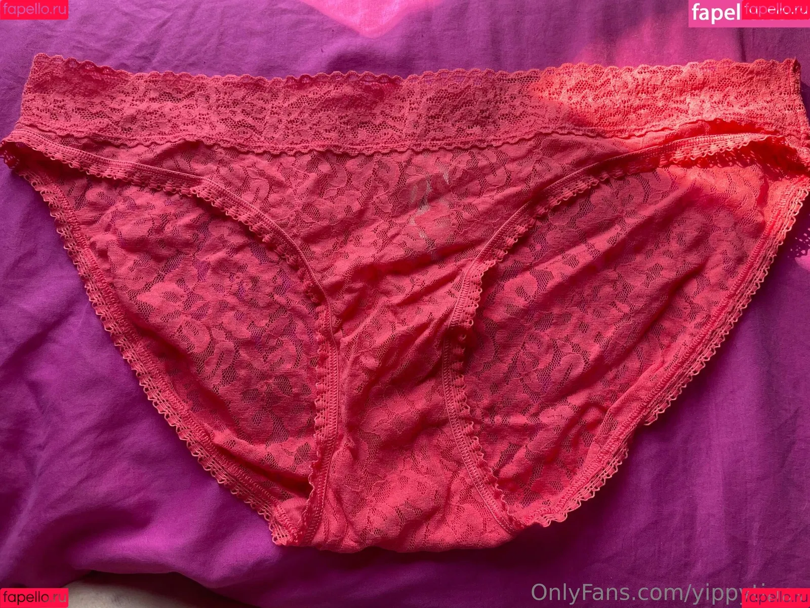 YippyTippy Onlyfans Photo Gallery 