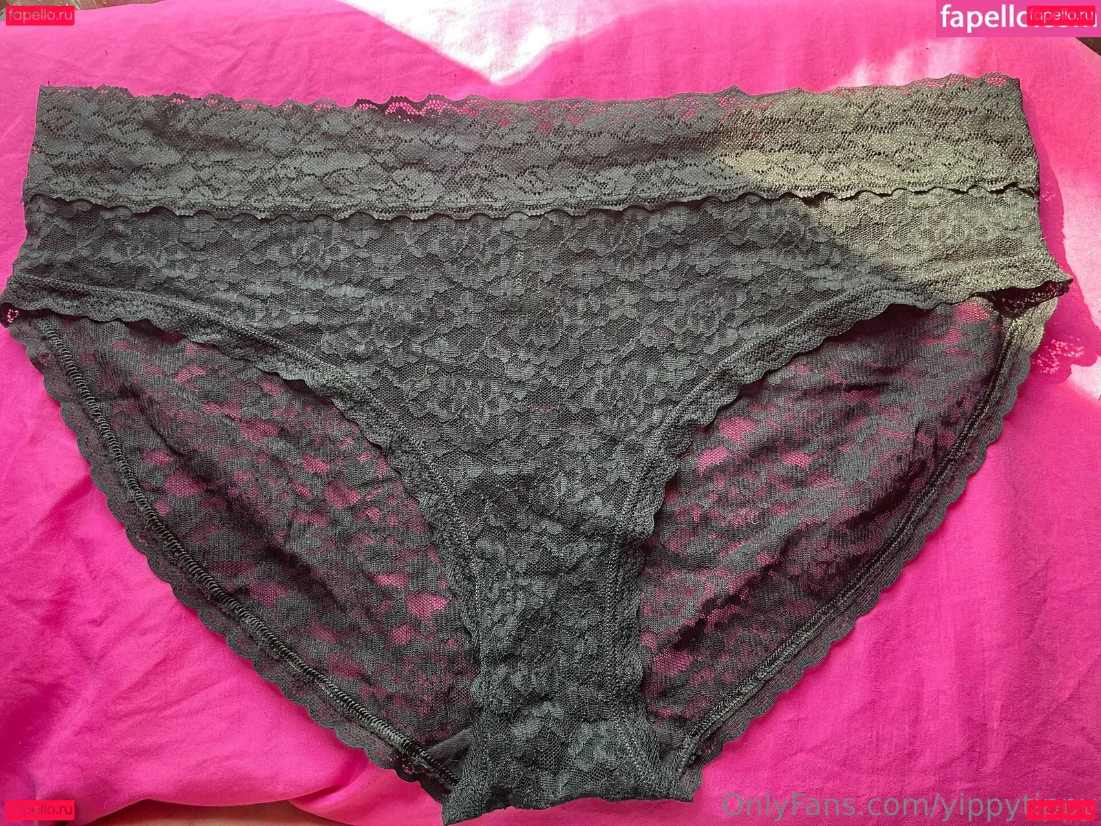 YippyTippy Onlyfans Photo Gallery 