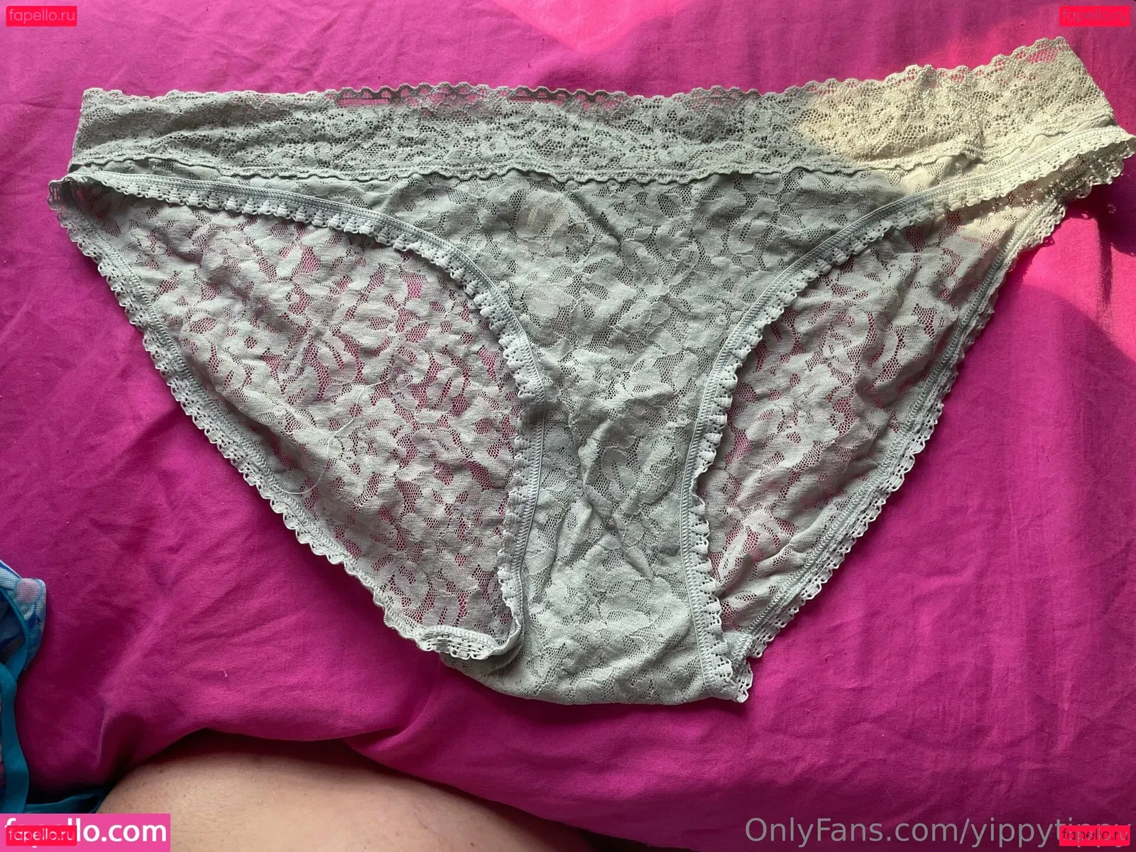 YippyTippy Onlyfans Photo Gallery 