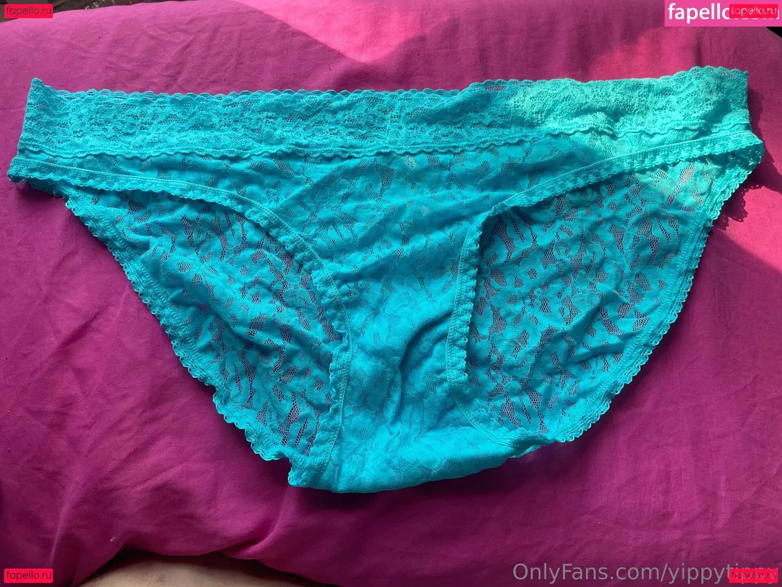 YippyTippy Onlyfans Photo Gallery 