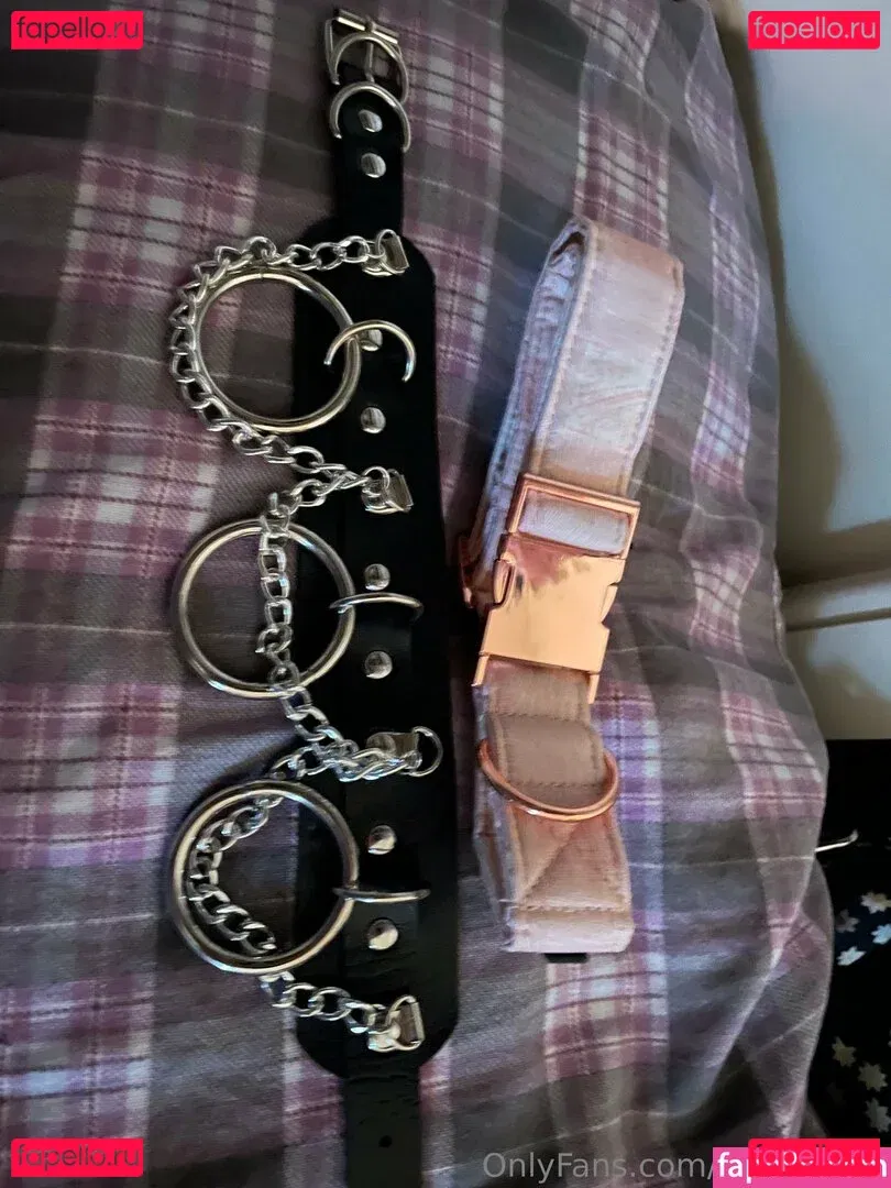 YippyTippy Onlyfans Photo Gallery 