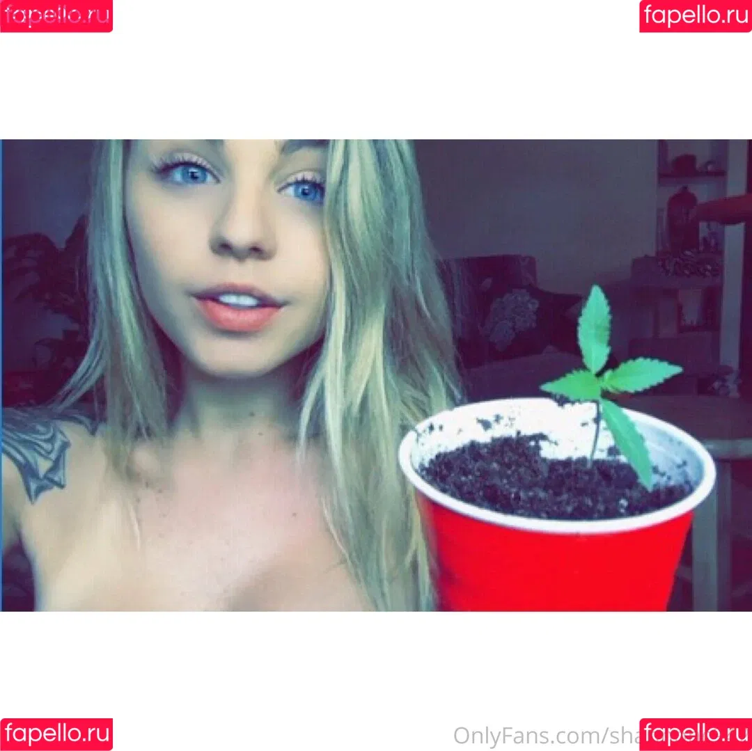 shannonc942 Onlyfans Photo Gallery 