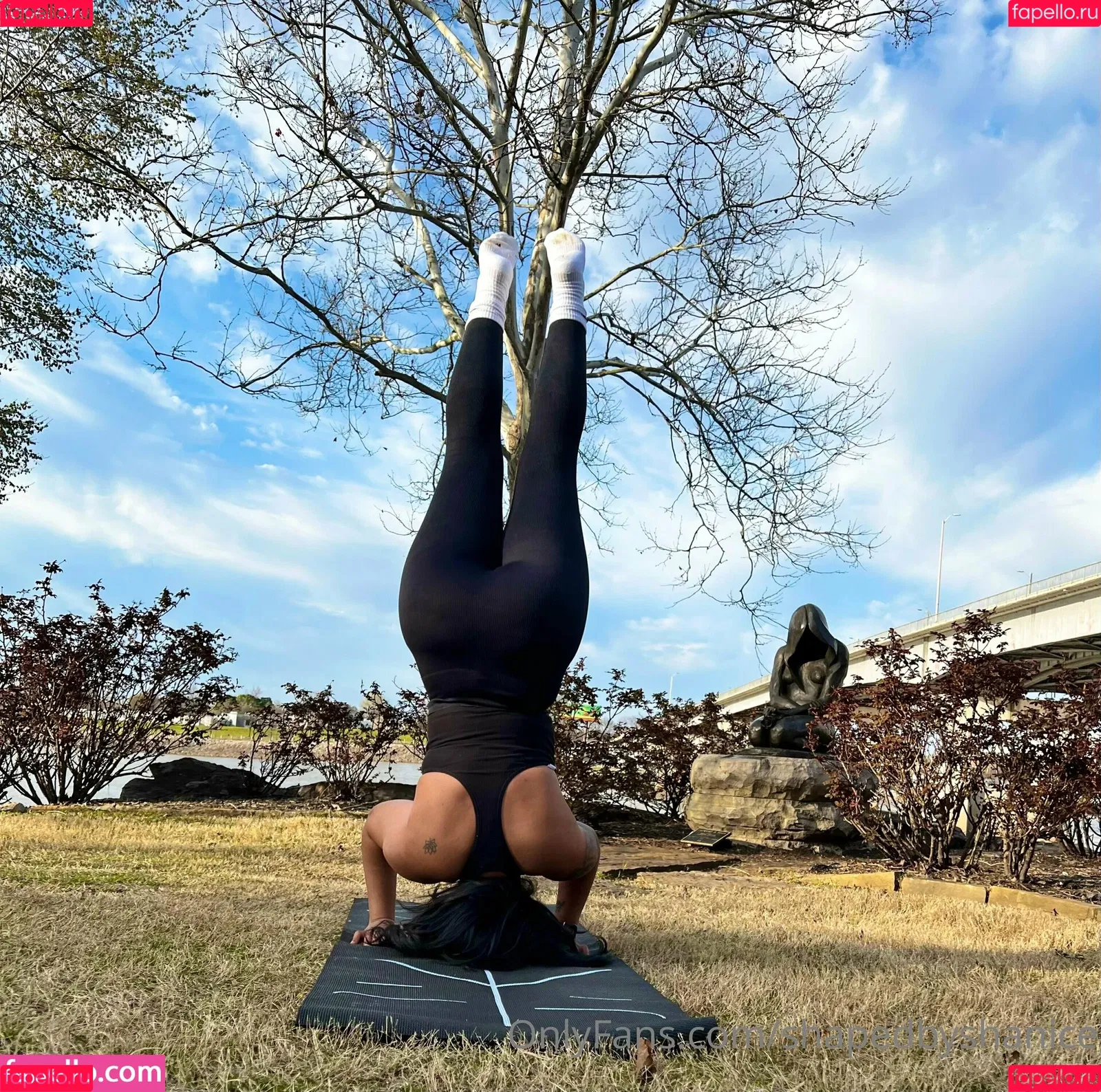 shapedbyshanice Onlyfans Photo Gallery 