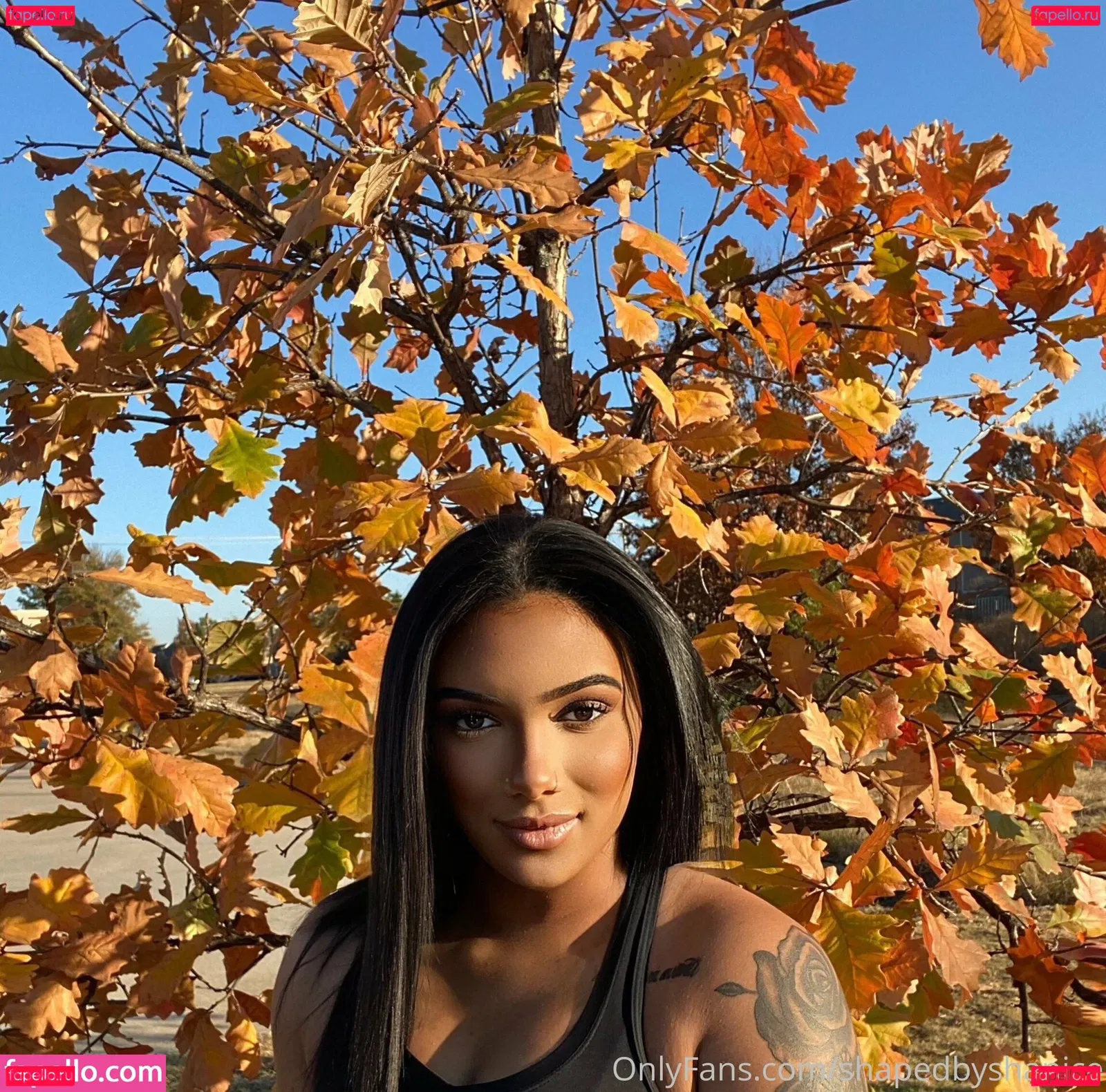 shapedbyshanice Onlyfans Photo Gallery 