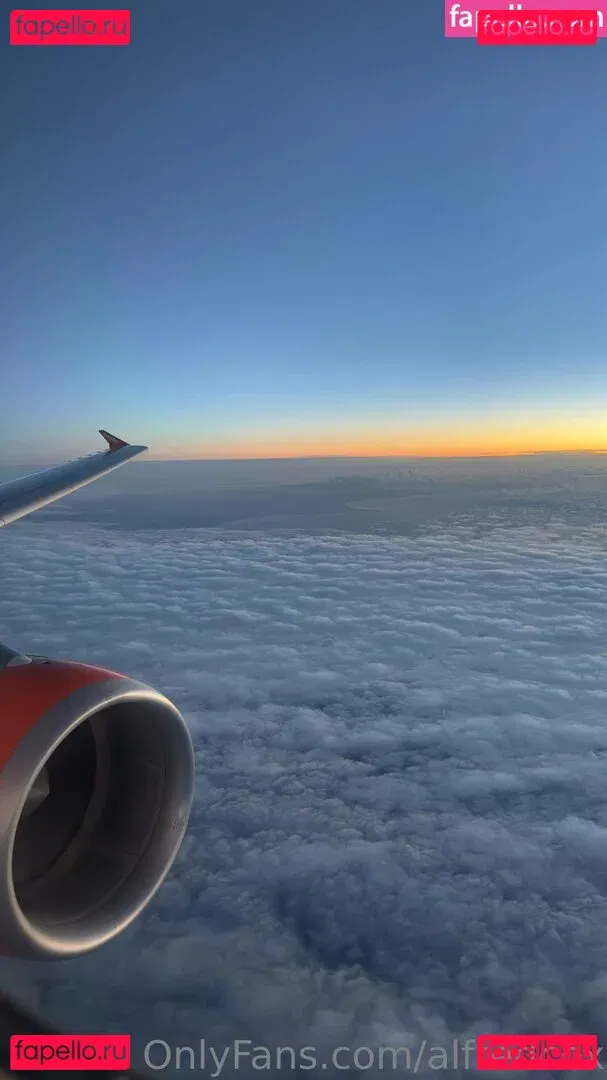 alfredcox Onlyfans Photo Gallery 