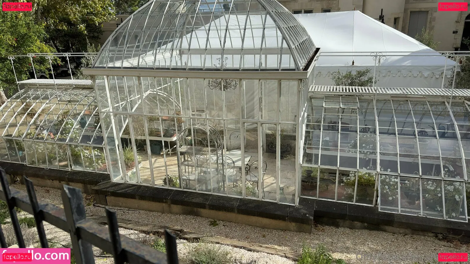 alfredcox Onlyfans Photo Gallery 