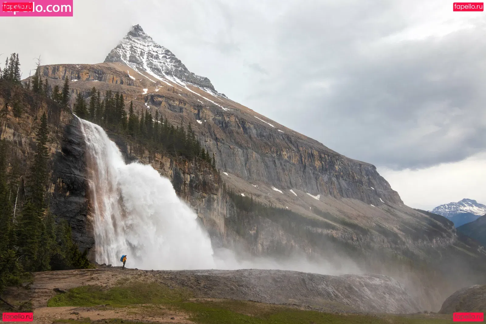 Nina Defilla Onlyfans Photo Gallery 