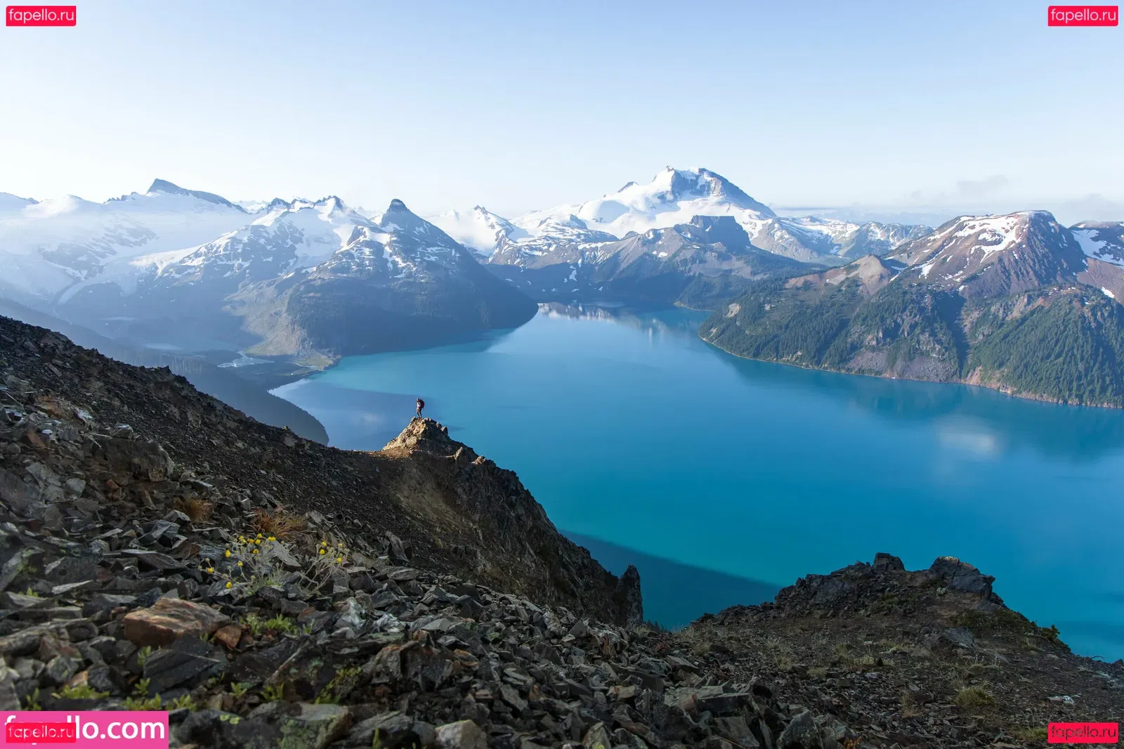 Nina Defilla Onlyfans Photo Gallery 