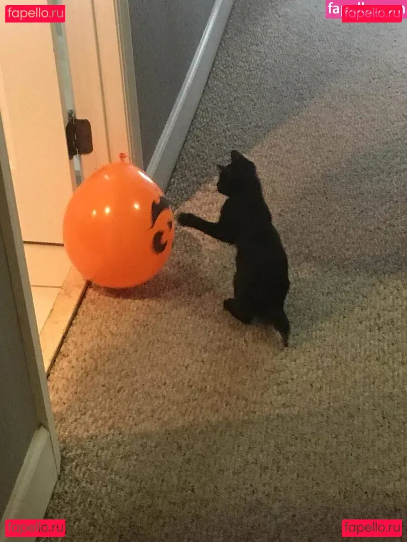 Lovebush1313 Onlyfans Photo Gallery 