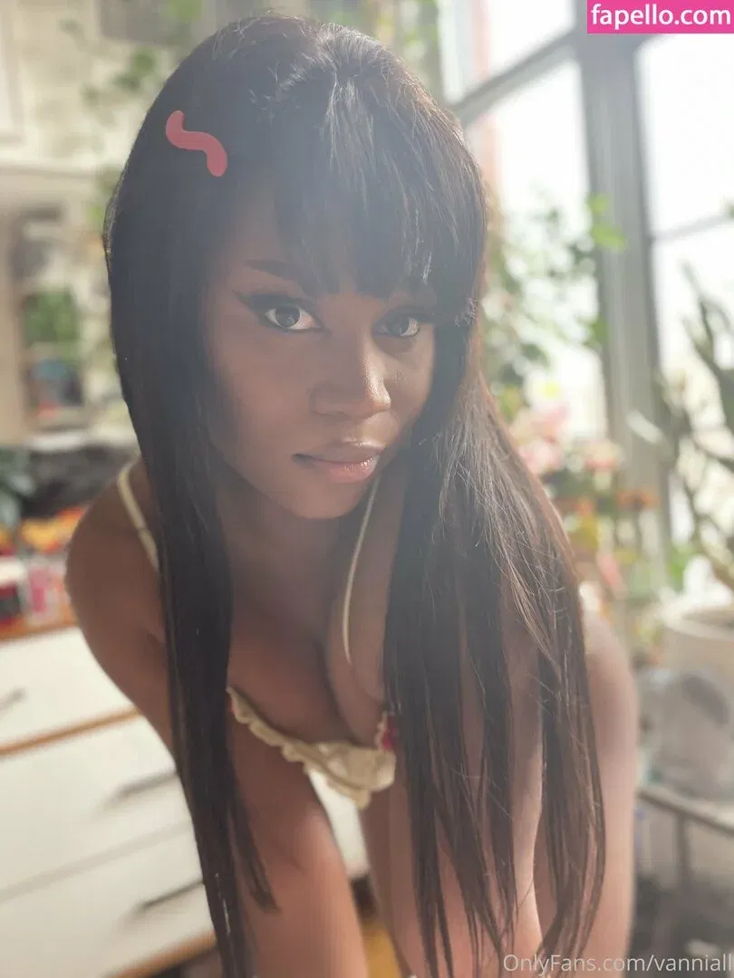 Vanniall Onlyfans Photo Gallery 