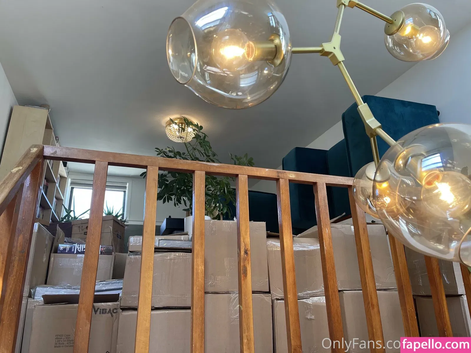 Vanniall Onlyfans Photo Gallery 