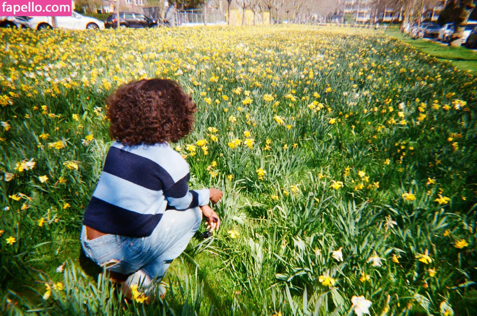 Vanniall Onlyfans Photo Gallery 